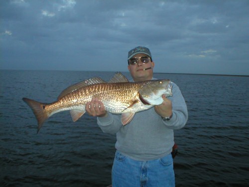 Mitchell's Red Fish